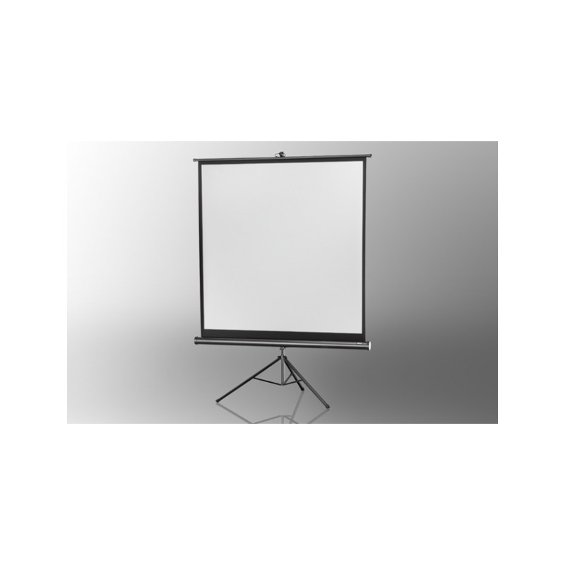 Projection screen on foot ceiling Economy 219 x 219 cm - image 12062
