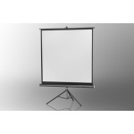 Projection screen on foot ceiling Economy 244 x 244 cm