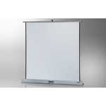 Mobile PRO 160 x 160 ceiling projection screen