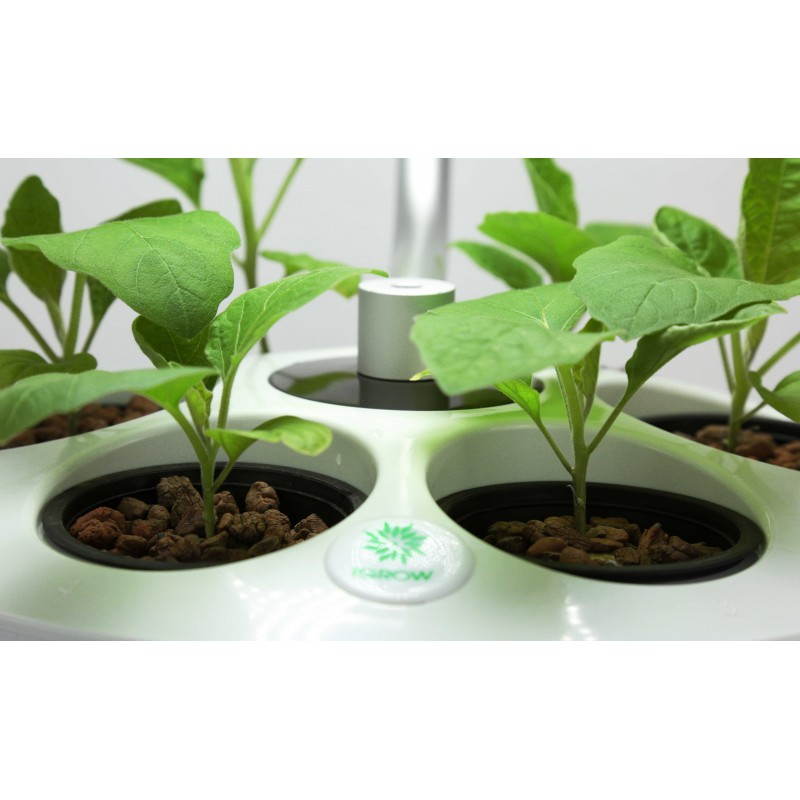 Gardener of hydroponics for indoor culture automatic CONE (large, white) - image 23777