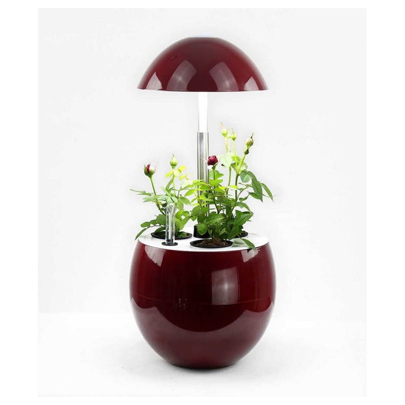 Gardener of hydroponics for automatic indoor culture POME (small, black) - image 23884