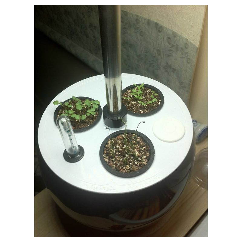 Jardinero de hidroponía para cultivo interior automático pepita (pequeño, de color rosa) - image 23914
