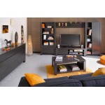 Furniture TV video Hifi design EUROPE (wenge)