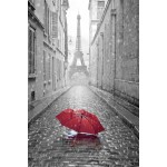 Table on glass TOUR EIFFEL (80 x 120 cm) (Red, grey)