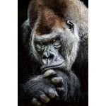 Gorilla Glastafel (80 x 120 cm) (Schwarz, grau)