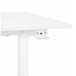 Bureau assis debout en bois pieds blanc cassé NAOMIE (140x70 cm) (blanc)