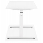 Seated standing electric wooden white feet KESSY (160x80 cm) (white)