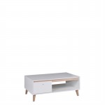 Scandinavian coffee table 1 door 120 cm OWIE (White, wood)