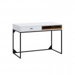 Desk 1 drawer and 1 niche 120 cm OLIE (White, wood)