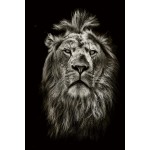 Painting on glass LION'S HEAD (80 x 120 cm) (black, beige)