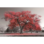 Painting on glass CHERRY BLOSSOM (80 x 120 cm) (grey, red)